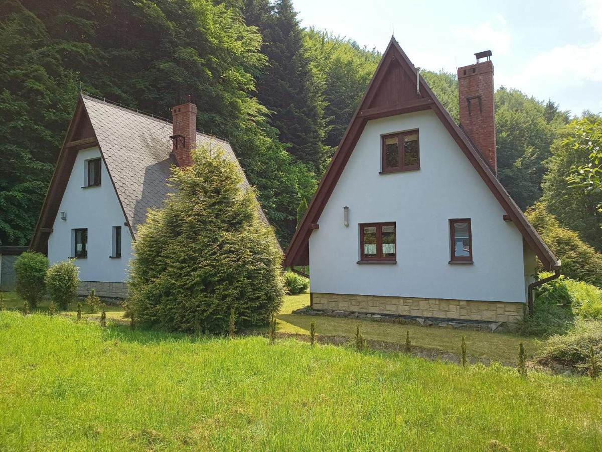 Lodge Cime Ekonomik